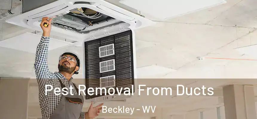  Pest Removal From Ducts Beckley - WV
