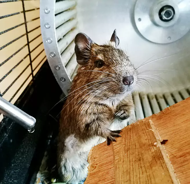 Why Homeowners & Businesses Trust Us Beckley, WV?